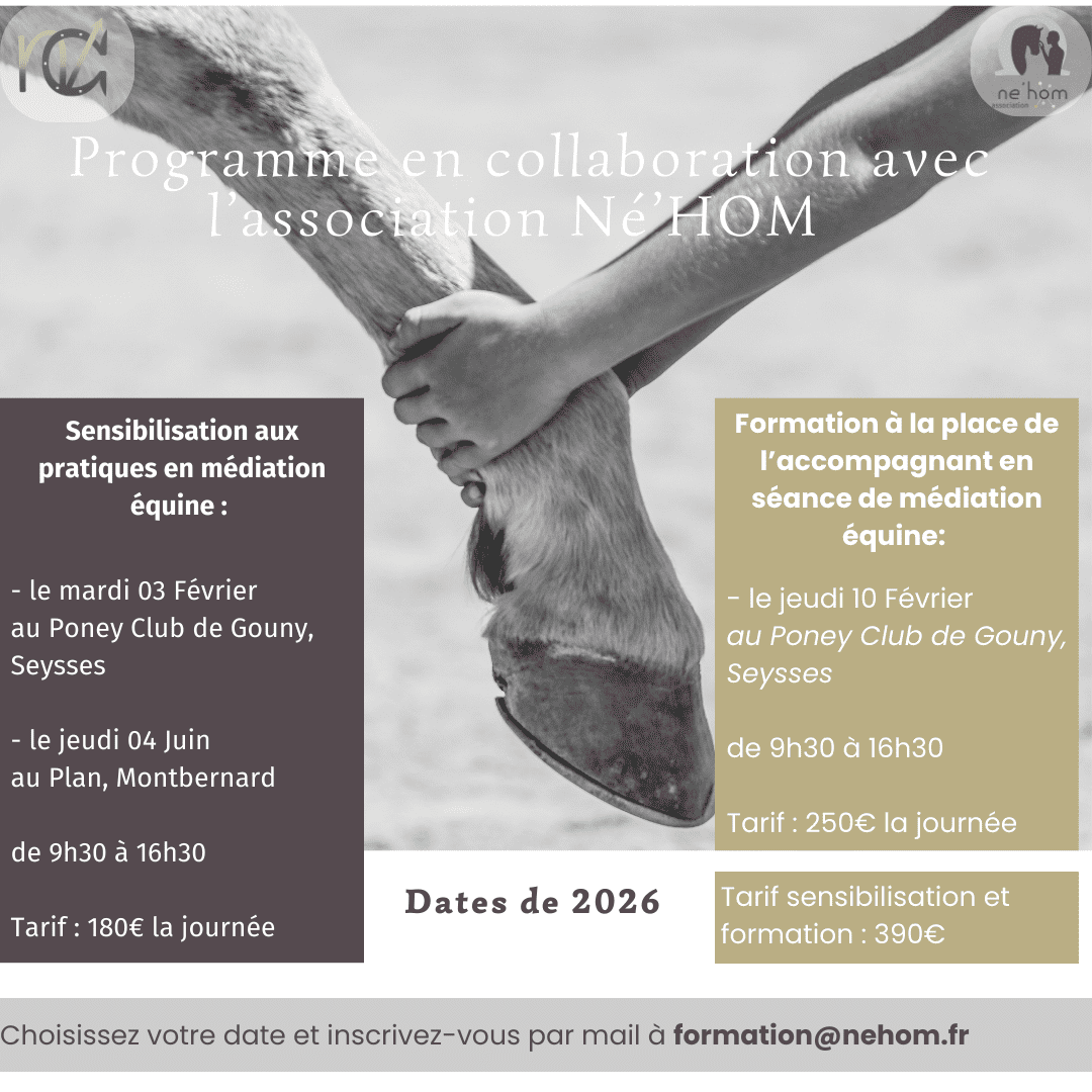 Sensibilisation aux pratiques en médiation équine